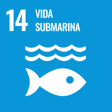 ODS 14: Vida Submarina